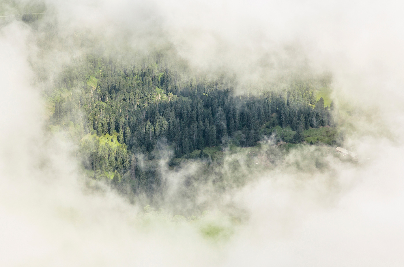 walden_0115