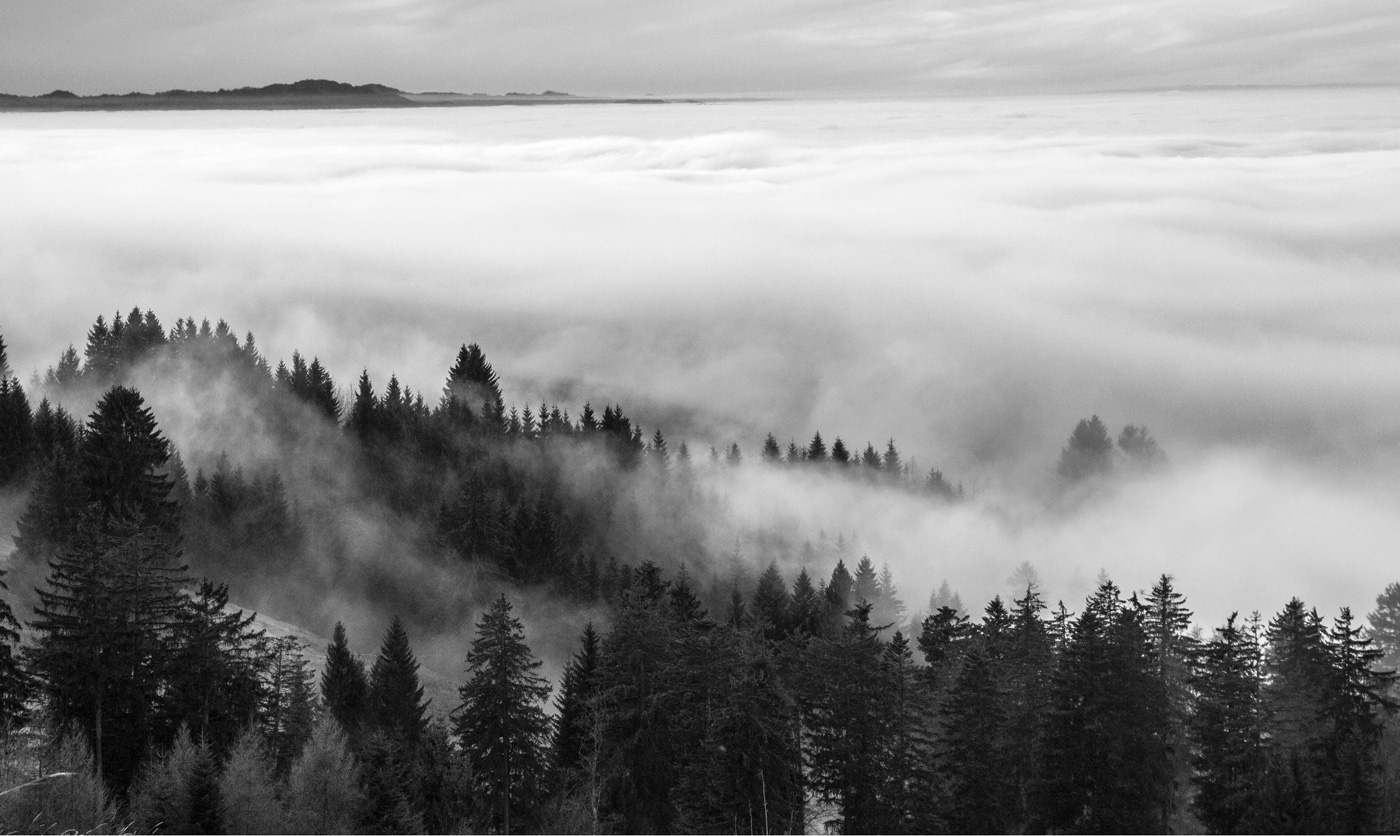 walden_0120