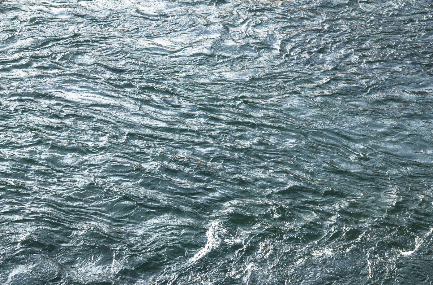 walden_0134